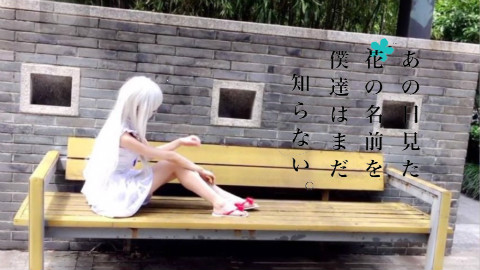 【电吉他+部分世界再现PV】未闻花名OP【面码COS】